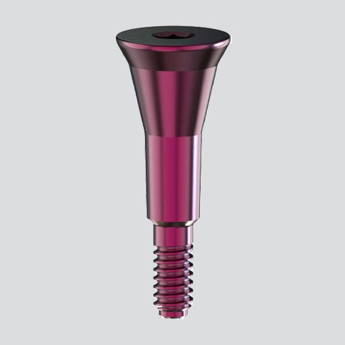XP 2mm Gingiva Former section image